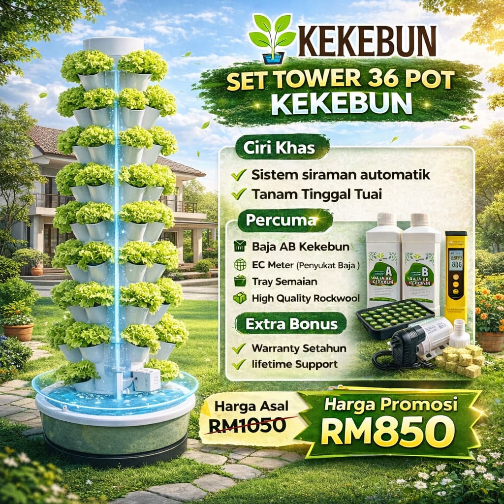 kekebun-6